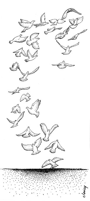 Doves of Peace take Flight